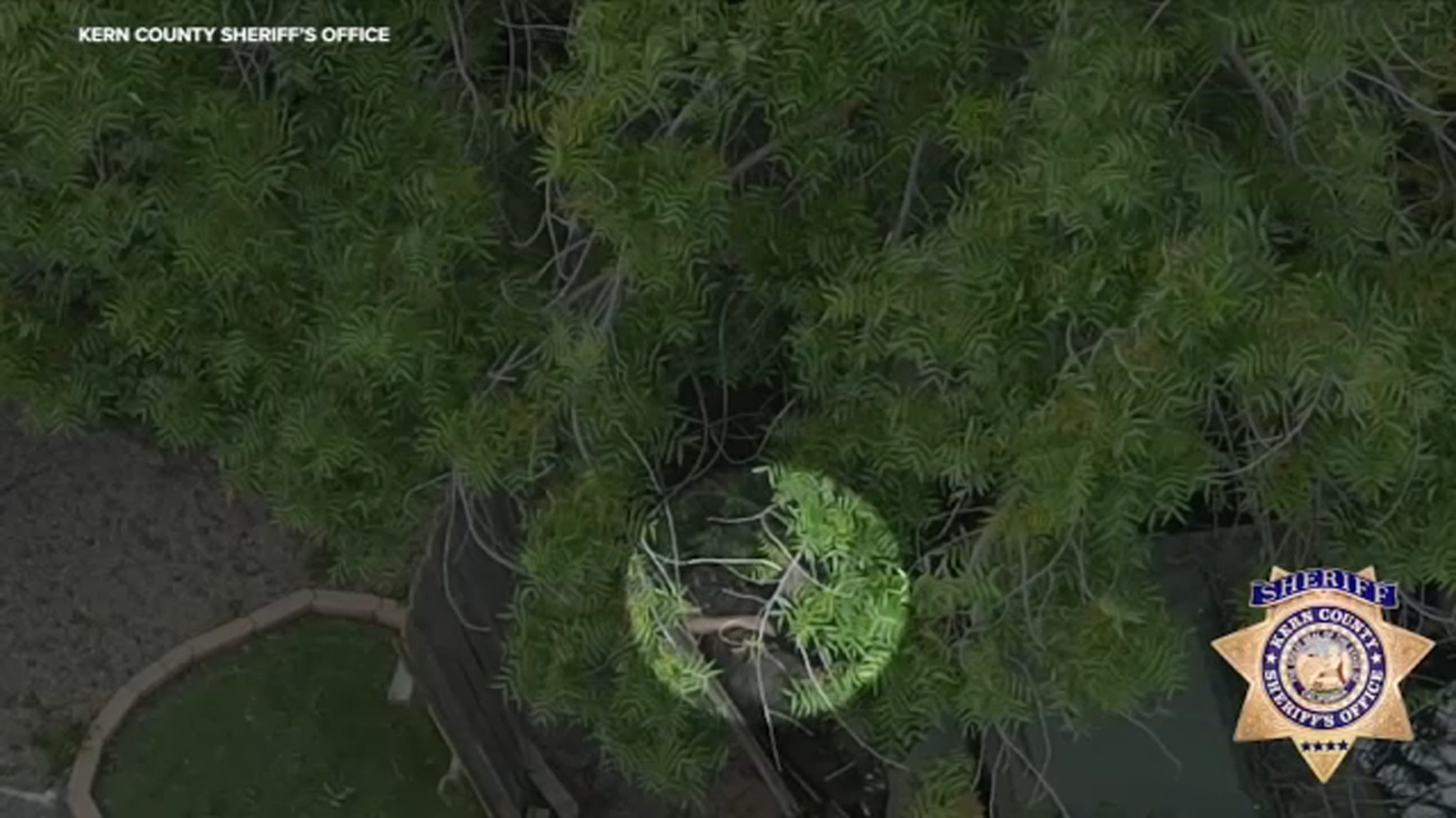 New video shows Porterville suspect being run over by BearCat: KCSO