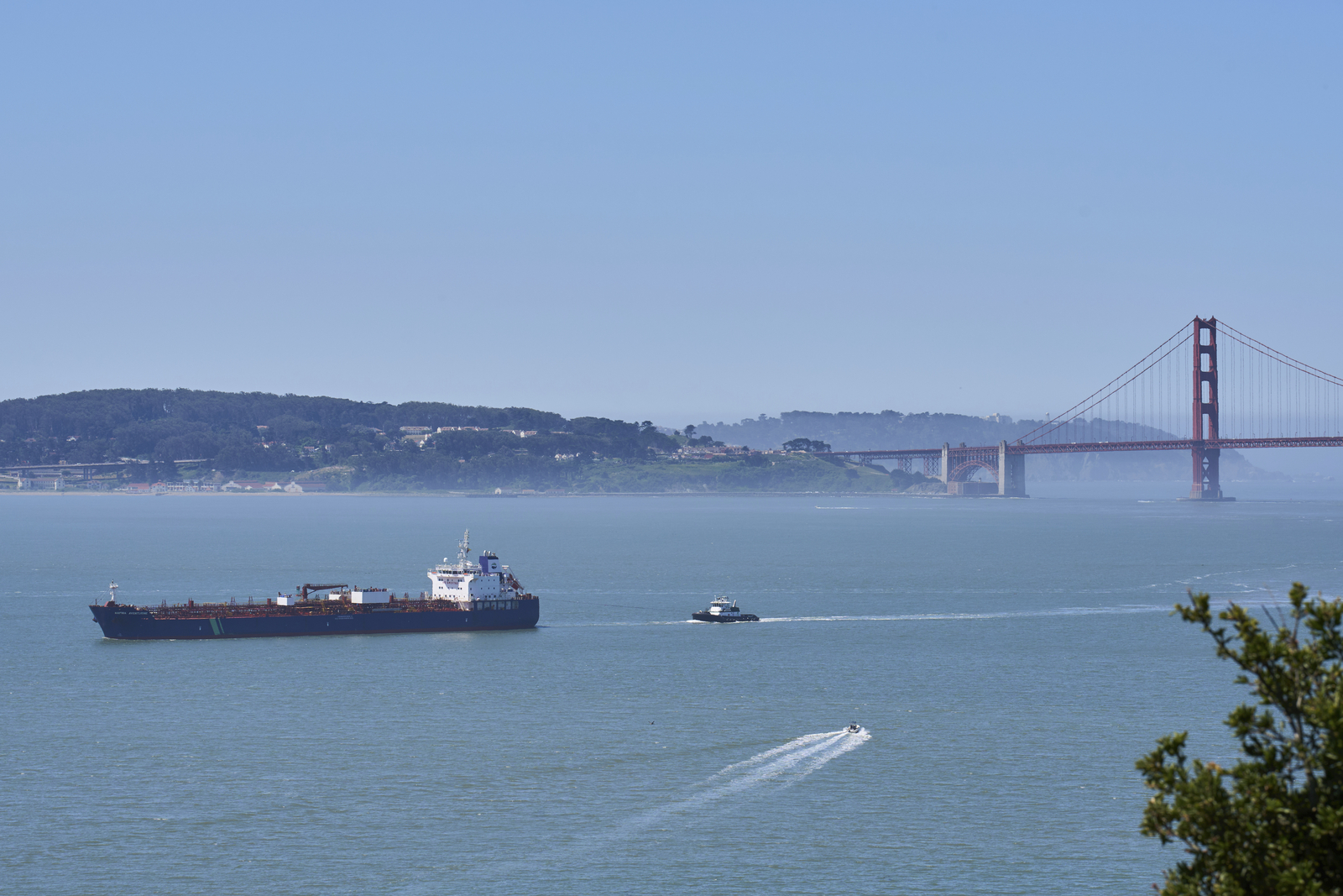 SF turns to AI to avoid collisions between ships and whales