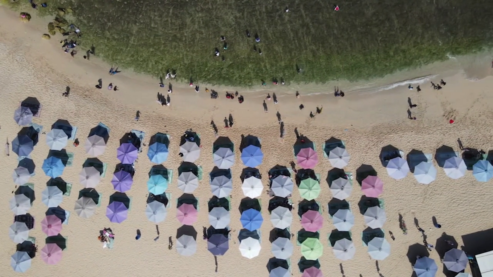 Laguna Beach bans large shade coverings except in designated zones on Main and Aliso beaches Laguna Beach bans large shade coverings except in designated zones on Main and Aliso beaches