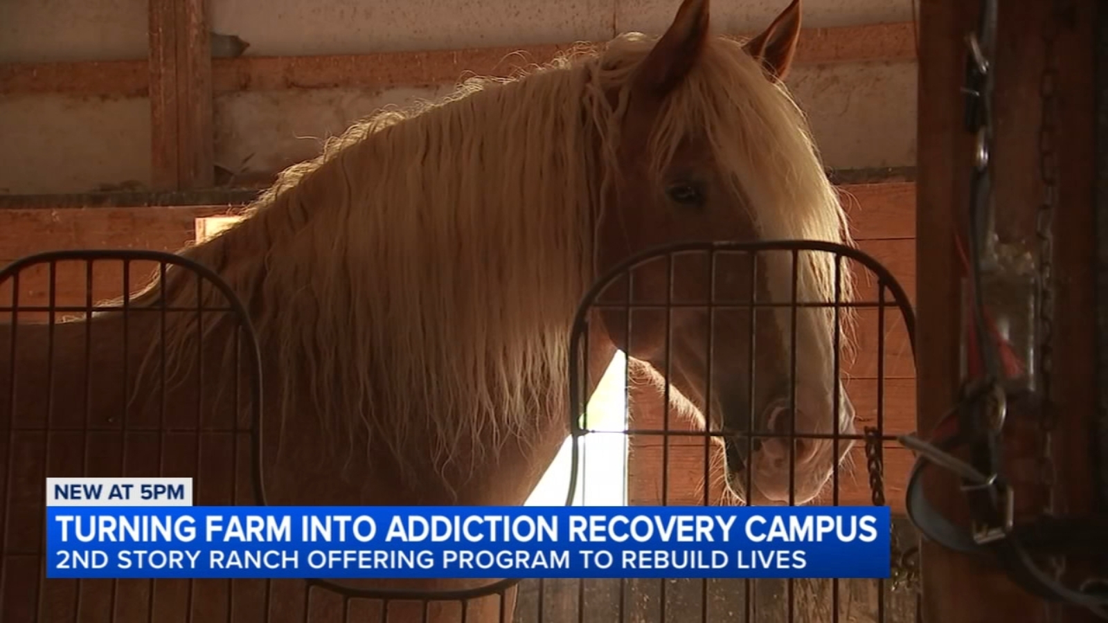 2nd Story Ranch offers program to rebuild lives