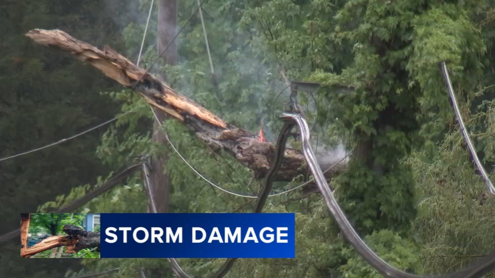 Storm causes damage in communities across region