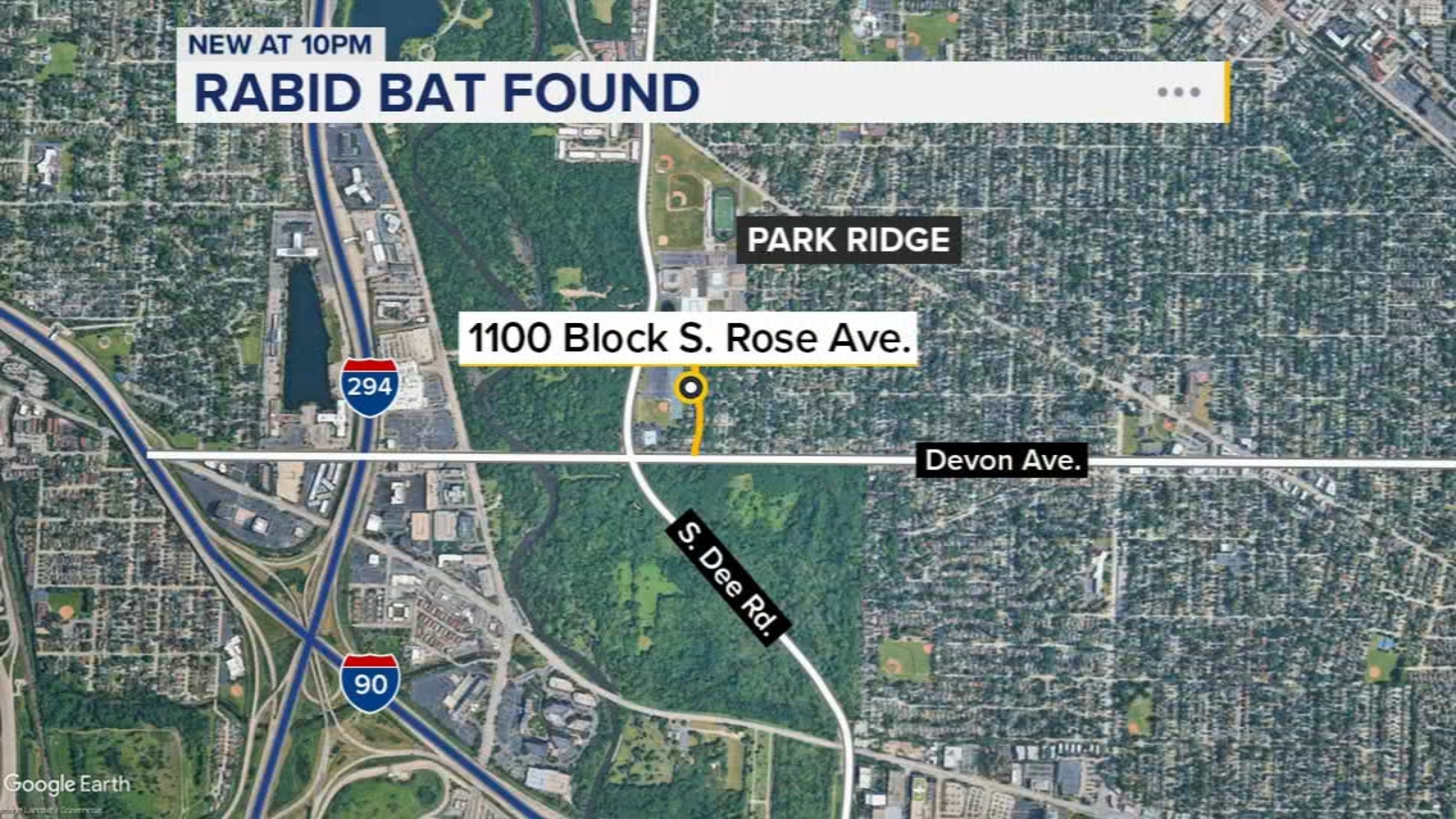 Person exposed to bat with rabies in north suburbs: officials