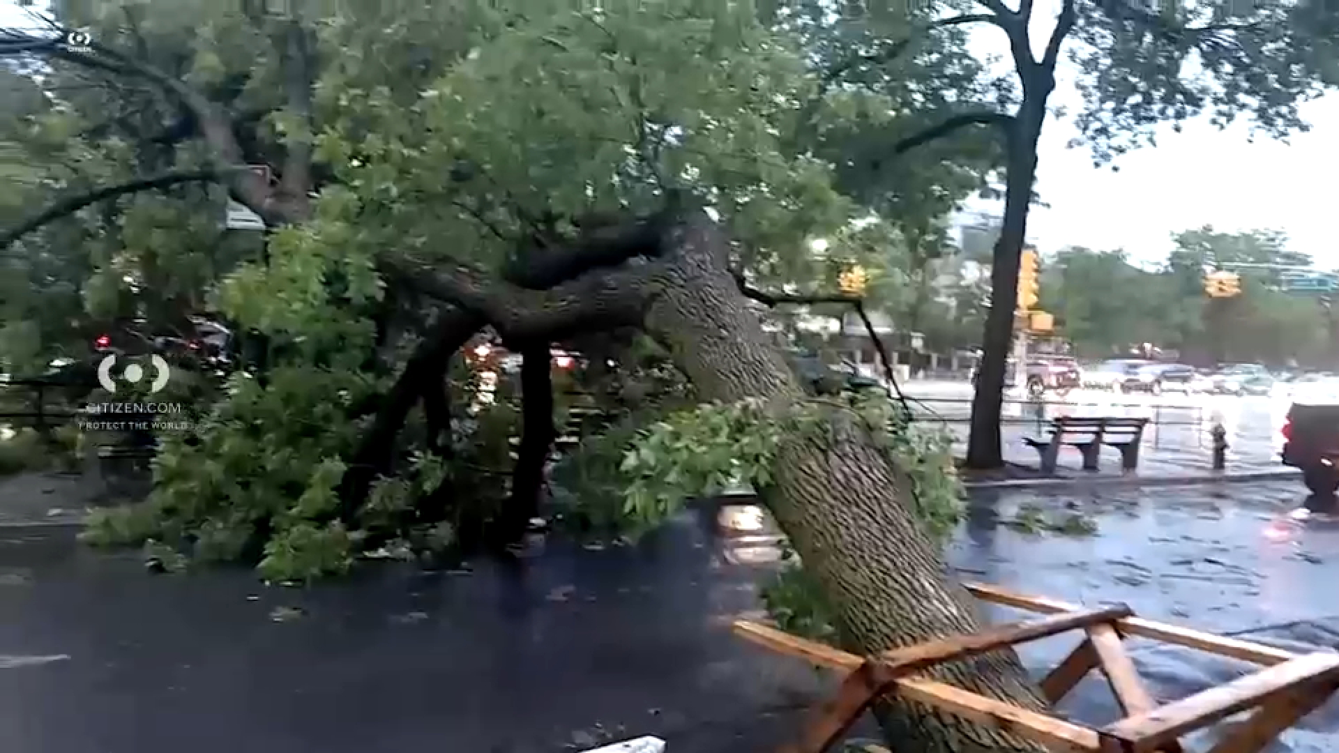Heavy rainfall, thunderstorms bring flooded roadways, downed trees in New York City