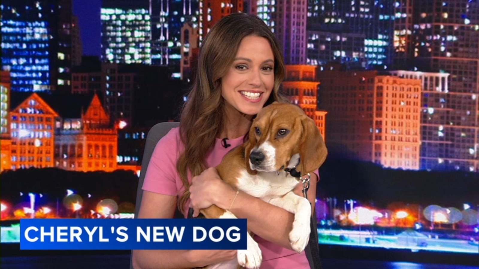 Cheryl Scott adopts beagle rescued from Ridglan Farms