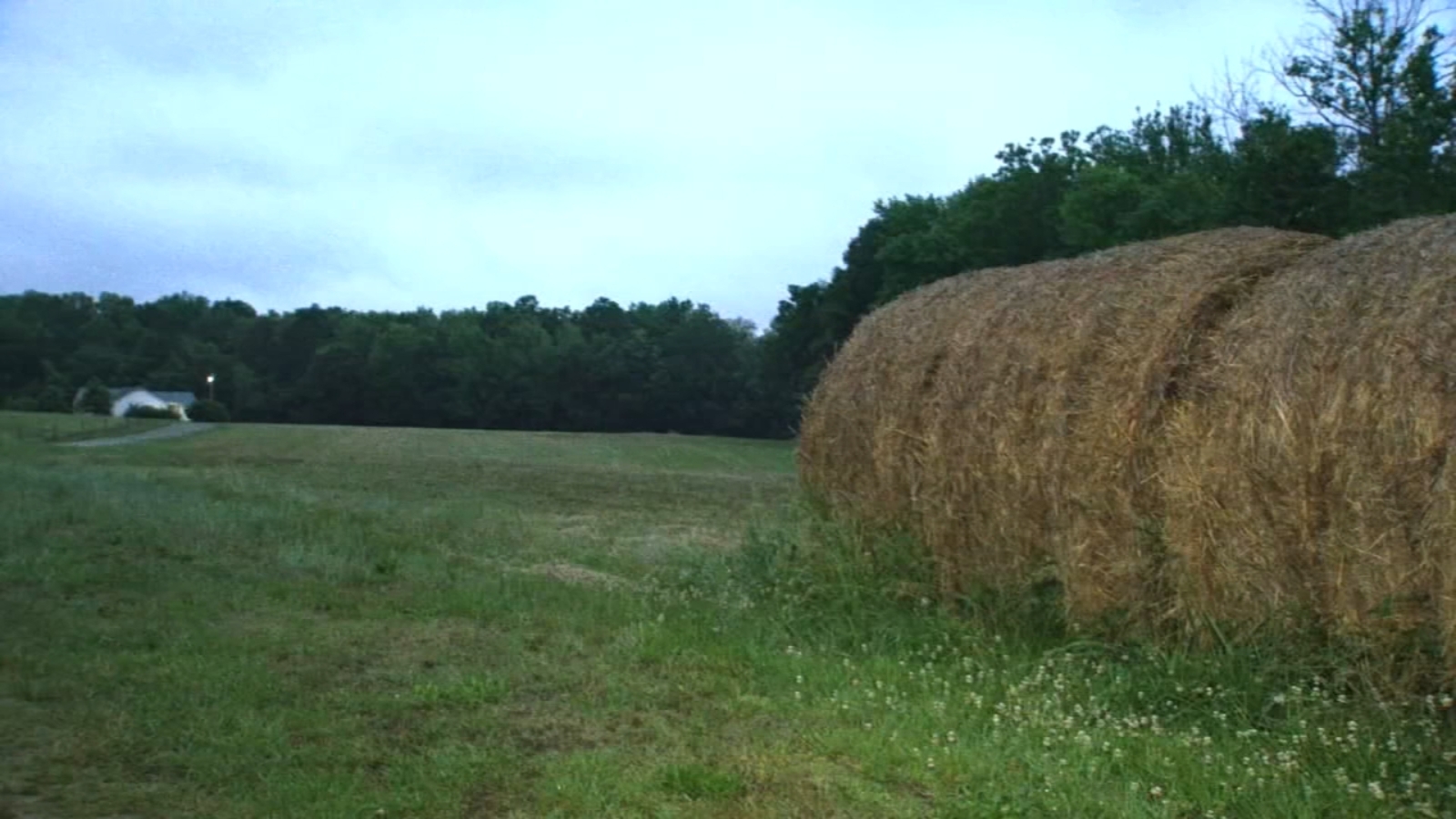 Triangle farmers hope rain will ease dry spring