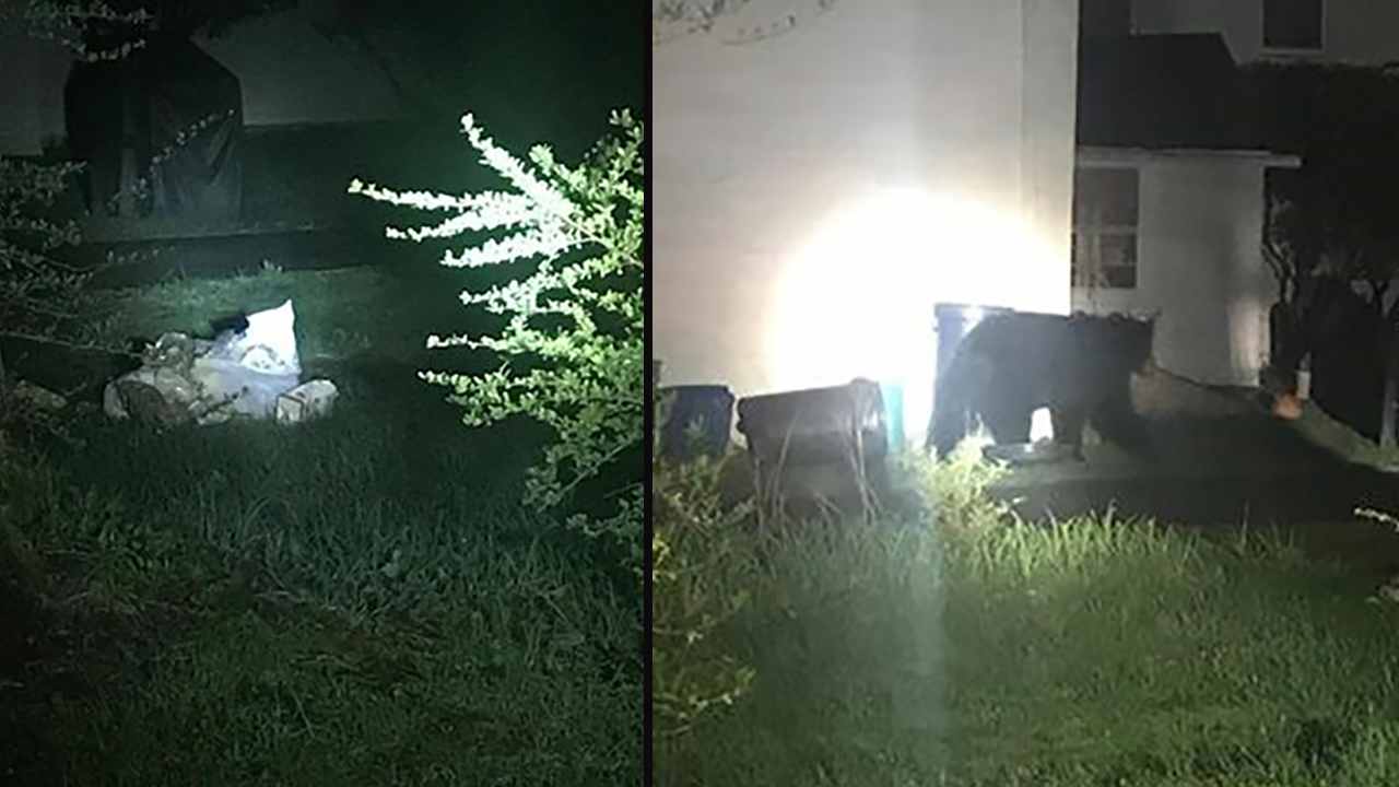 Warning about bears in Rockland County