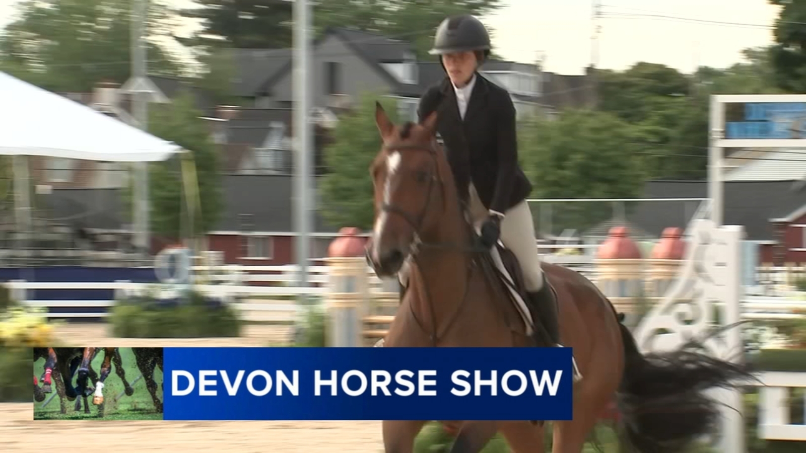 The Devon Horse Show and Country Fair celebrates milestone year