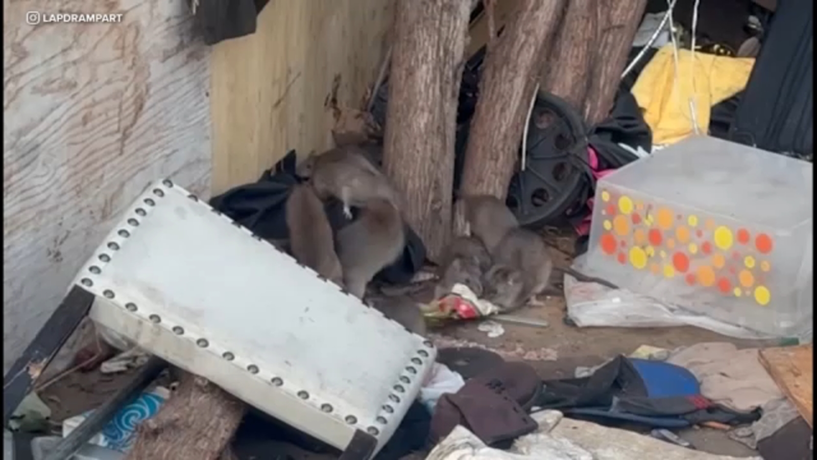 LAPD cites safety risks at rat-infested DTLA homeless encampment, makes multiple arrests