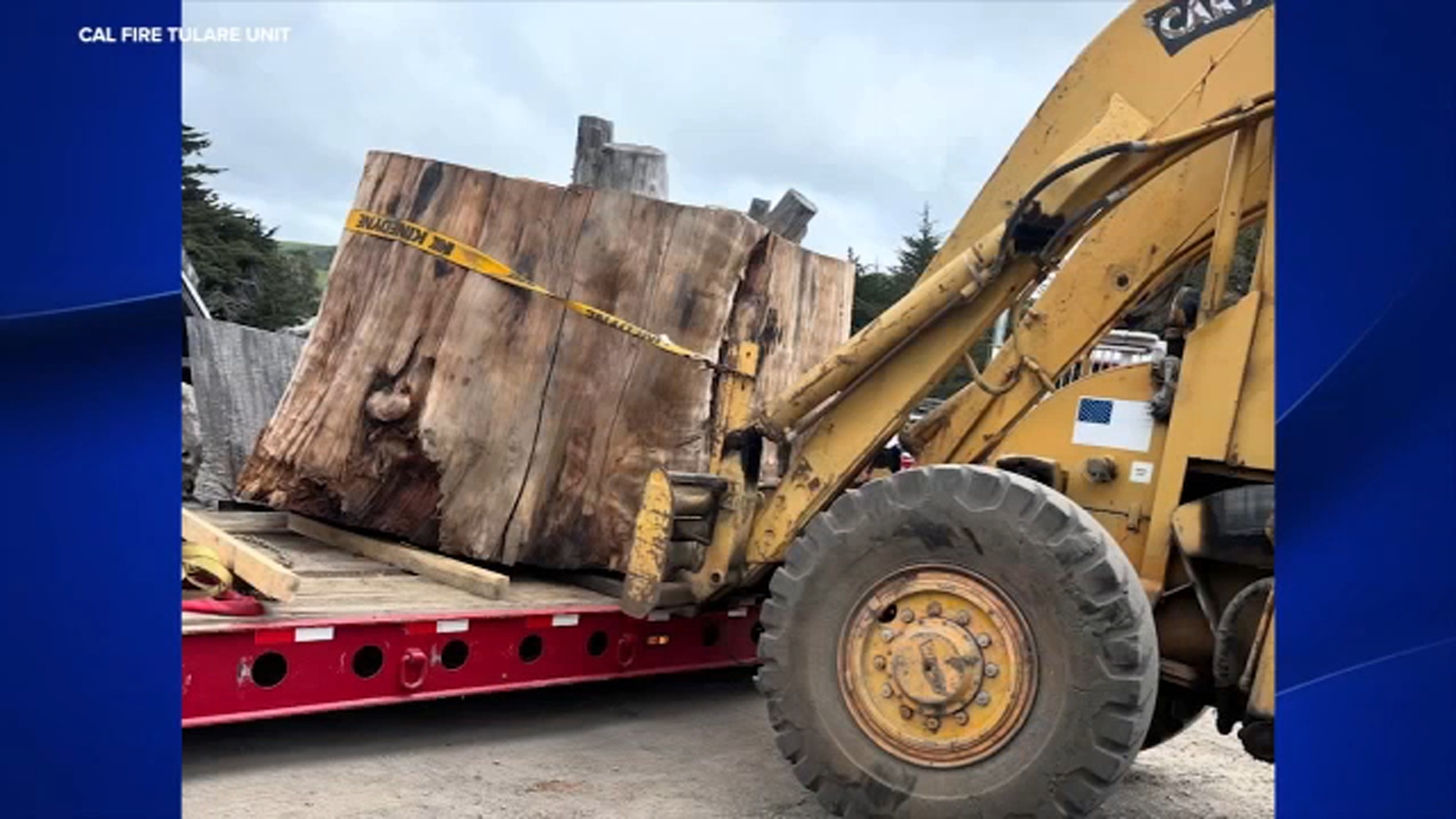 Section of burned giant Sequoia from SQF Complex Fire headed to Smithsonian Museum