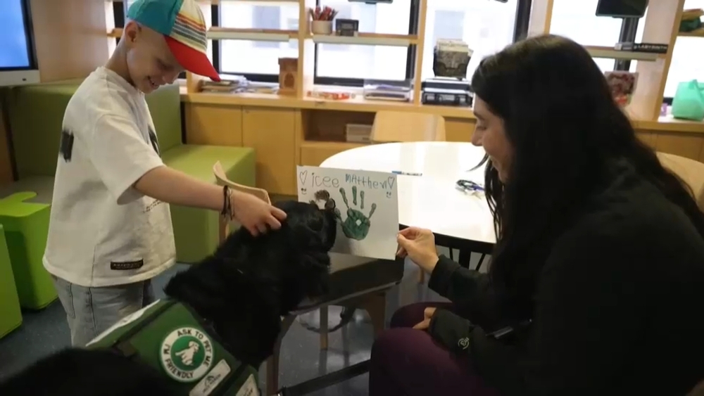 Hospital program allows trained facility dogs to support children