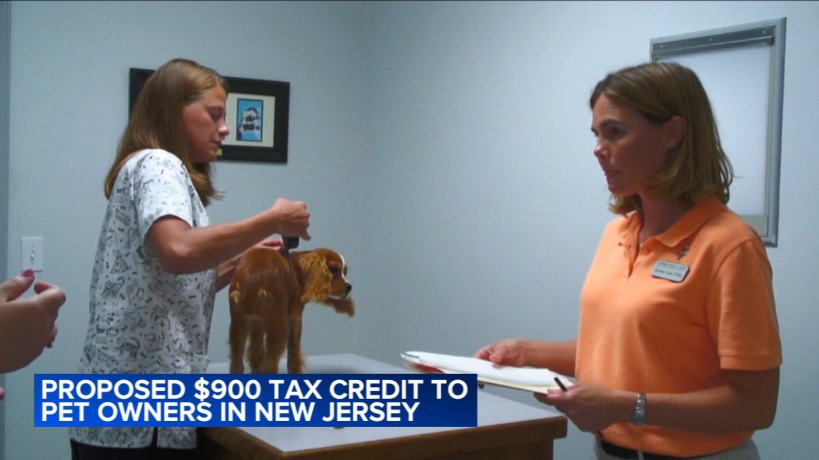 Proposed tax credit aims to help pet owners in New Jersey
