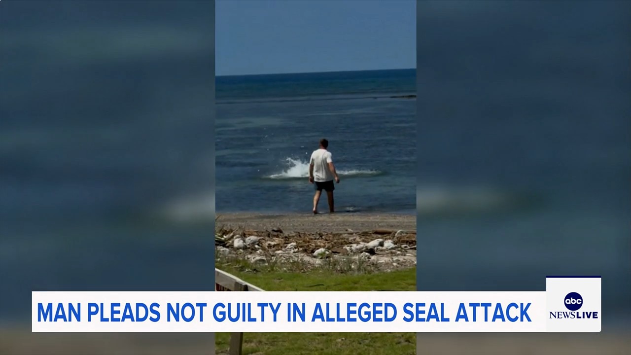Washington tourist pleads not guilty in Hawaiian monk seal rock