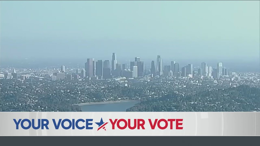 California Primary Election Roundtable
