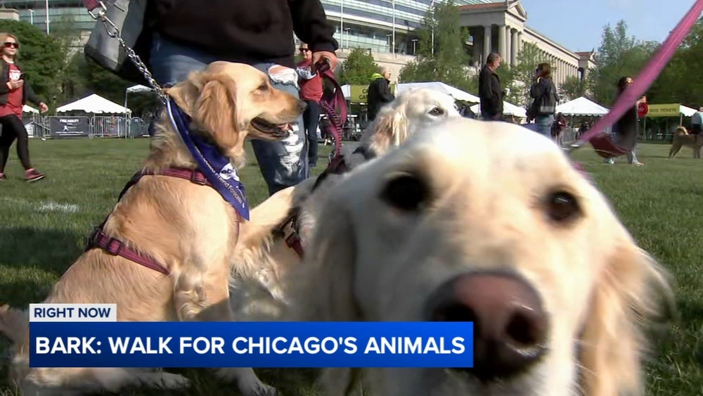 Tracy Butler, Hosea Sanders at 2026 BARK: Walk for Chicago's Animals