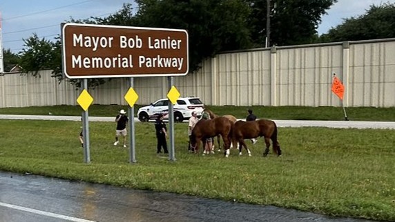 The horses being carried in the trailer connected to the engulfed truck were quickly moved away to safety, according to the constable's office.