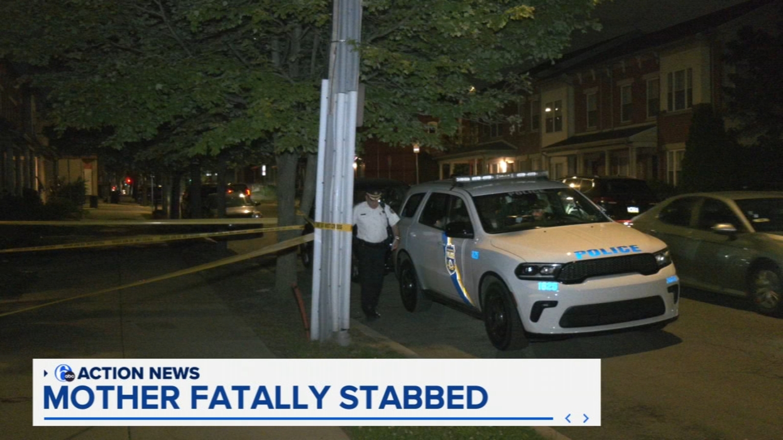 Woman in custody after allegedly stabbing mother to death in West ...