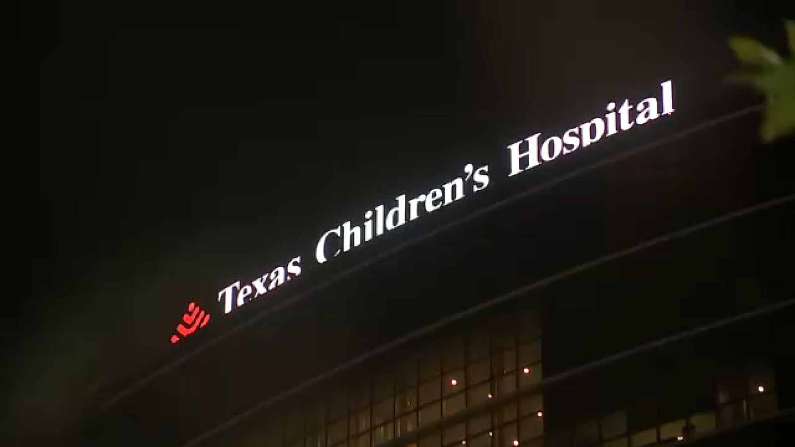 New details released on Texas Children's Hospital's planned detransition clinic