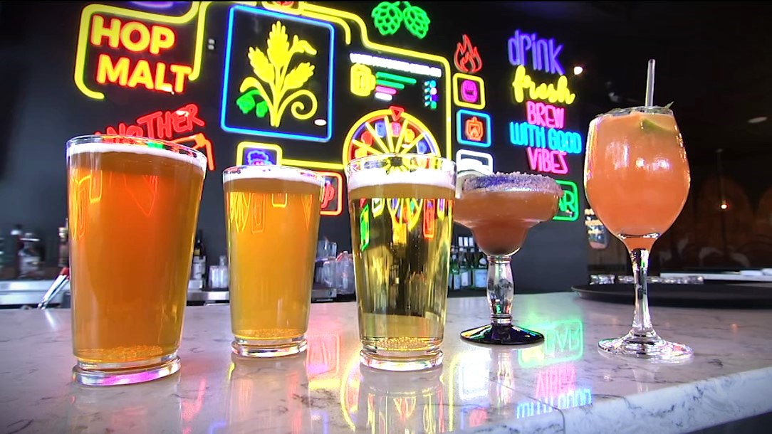 Brewpub and Indian kitchen make spicy new combo at Vibe Haus in Berwyn