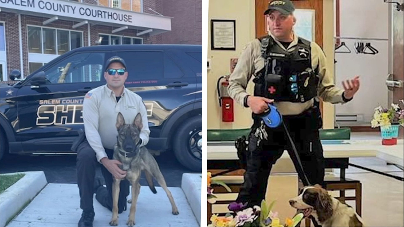 Prosecutor investigating deaths of sheriff's office K9s