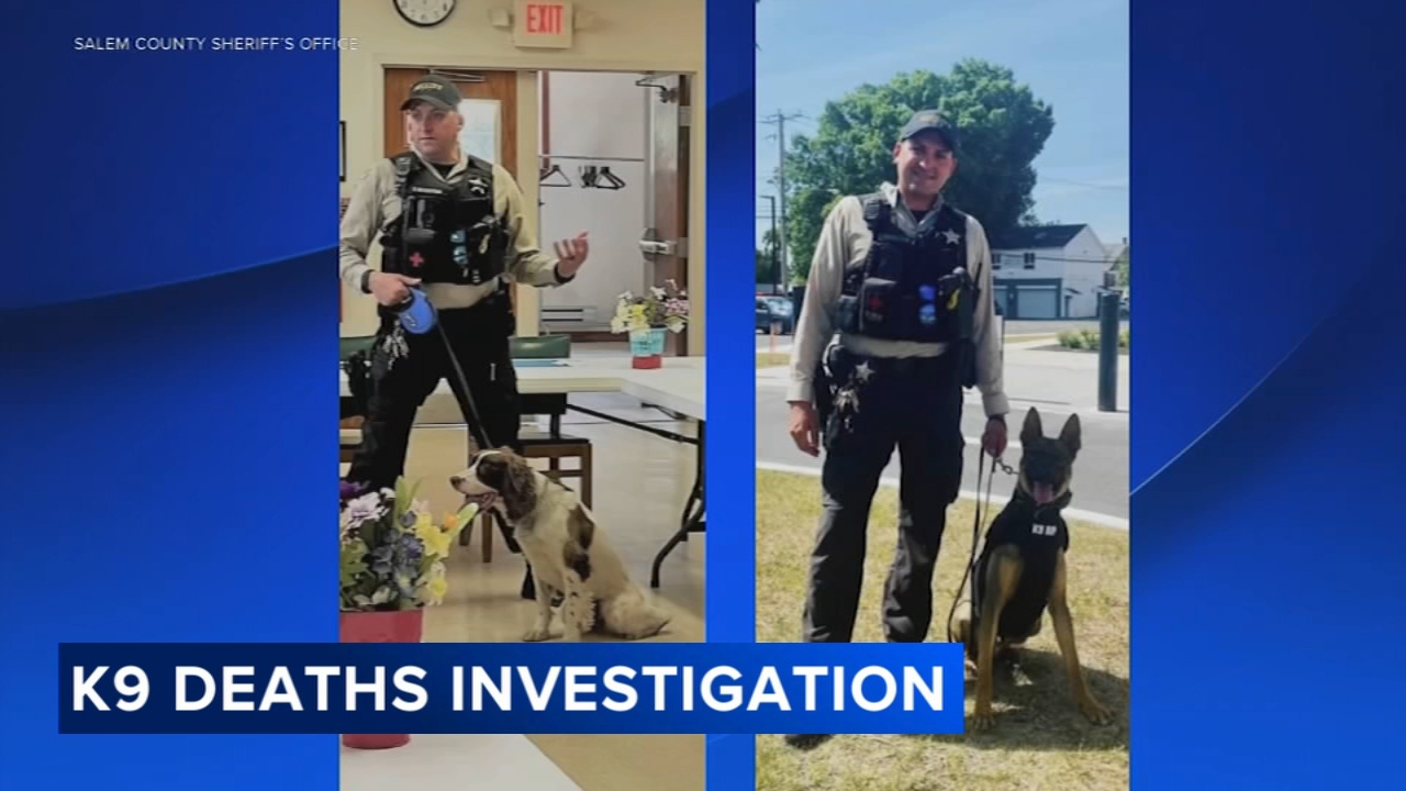 Salem County prosecutor investigating deaths of sheriff's office K9s