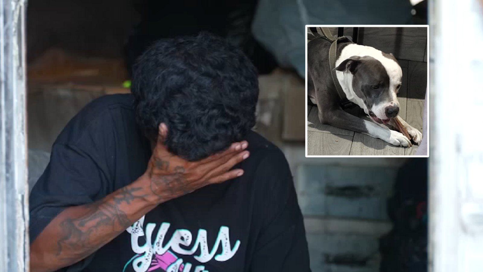 2 men charged, accused of stabbing dog to death with a piece of sheet metal, authorities say