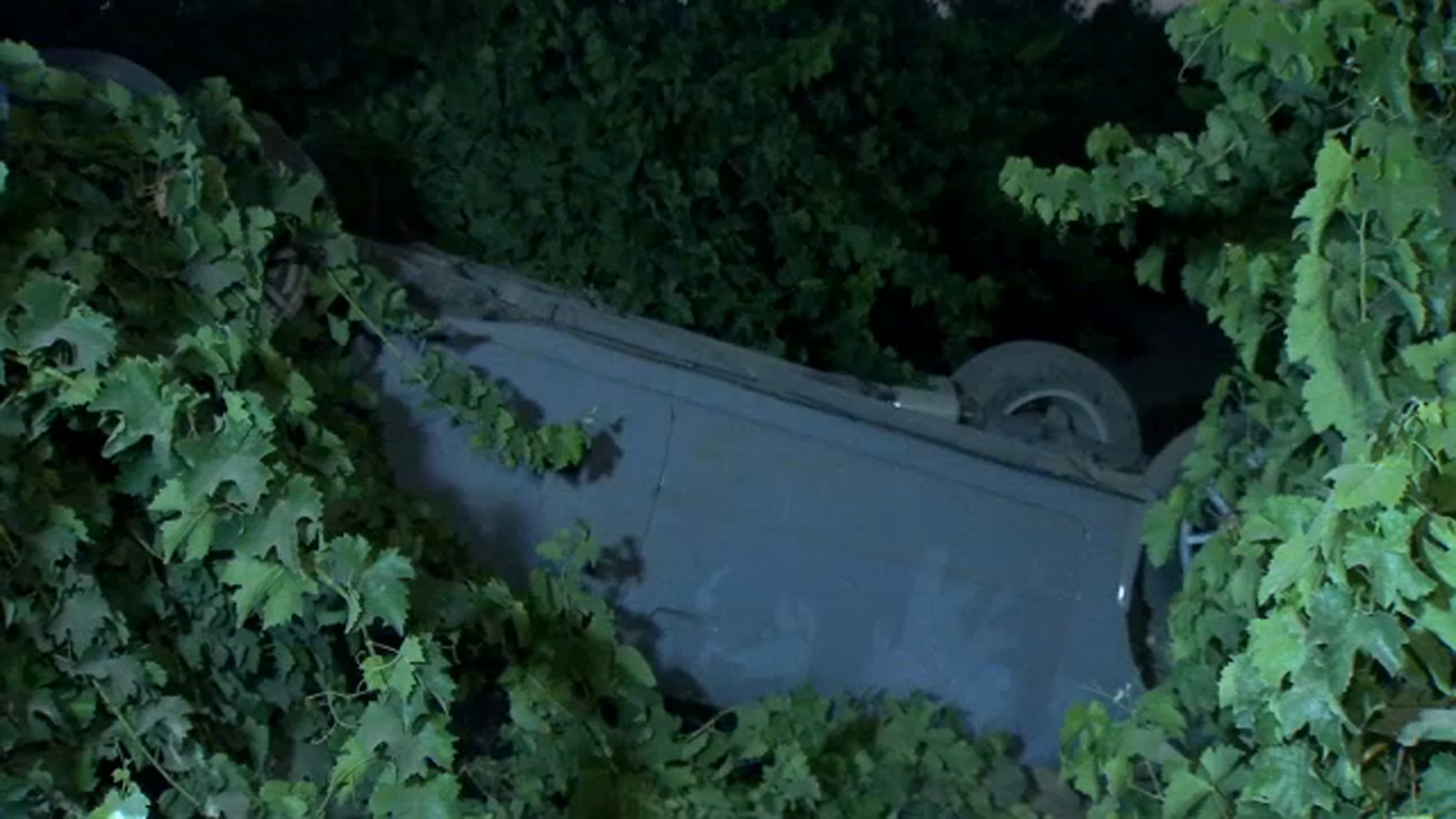 Man killed after vehicle overturns into a vineyard near Sanger, CHP says