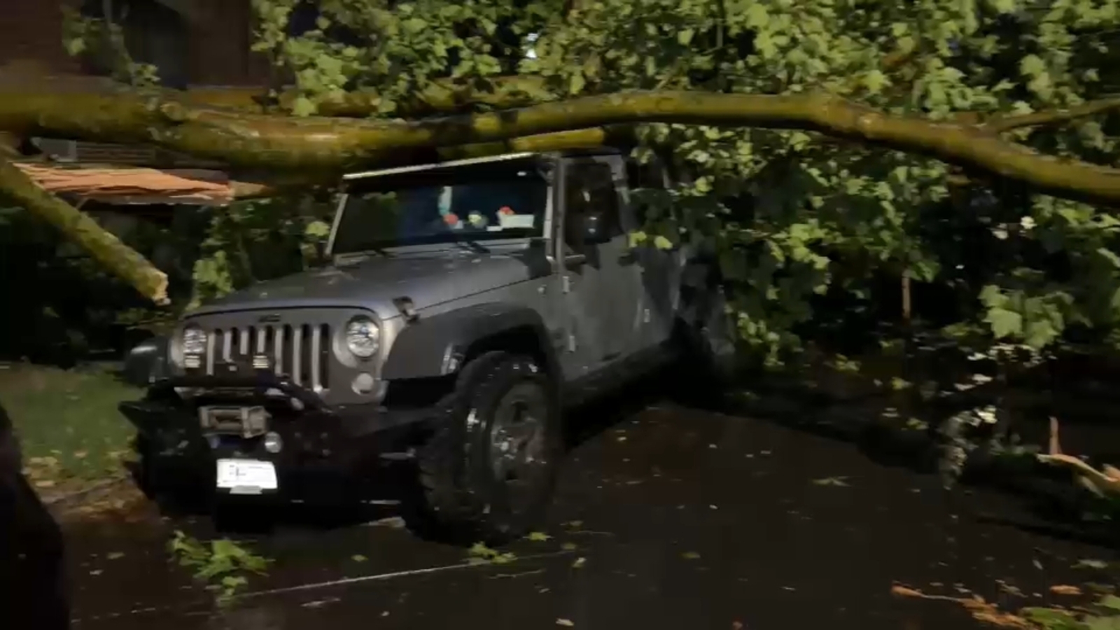 Severe thunderstorm causes downed trees, delayed flights