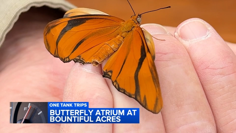 One Tank Trips: Step inside a butterfly oasis in Bucks County