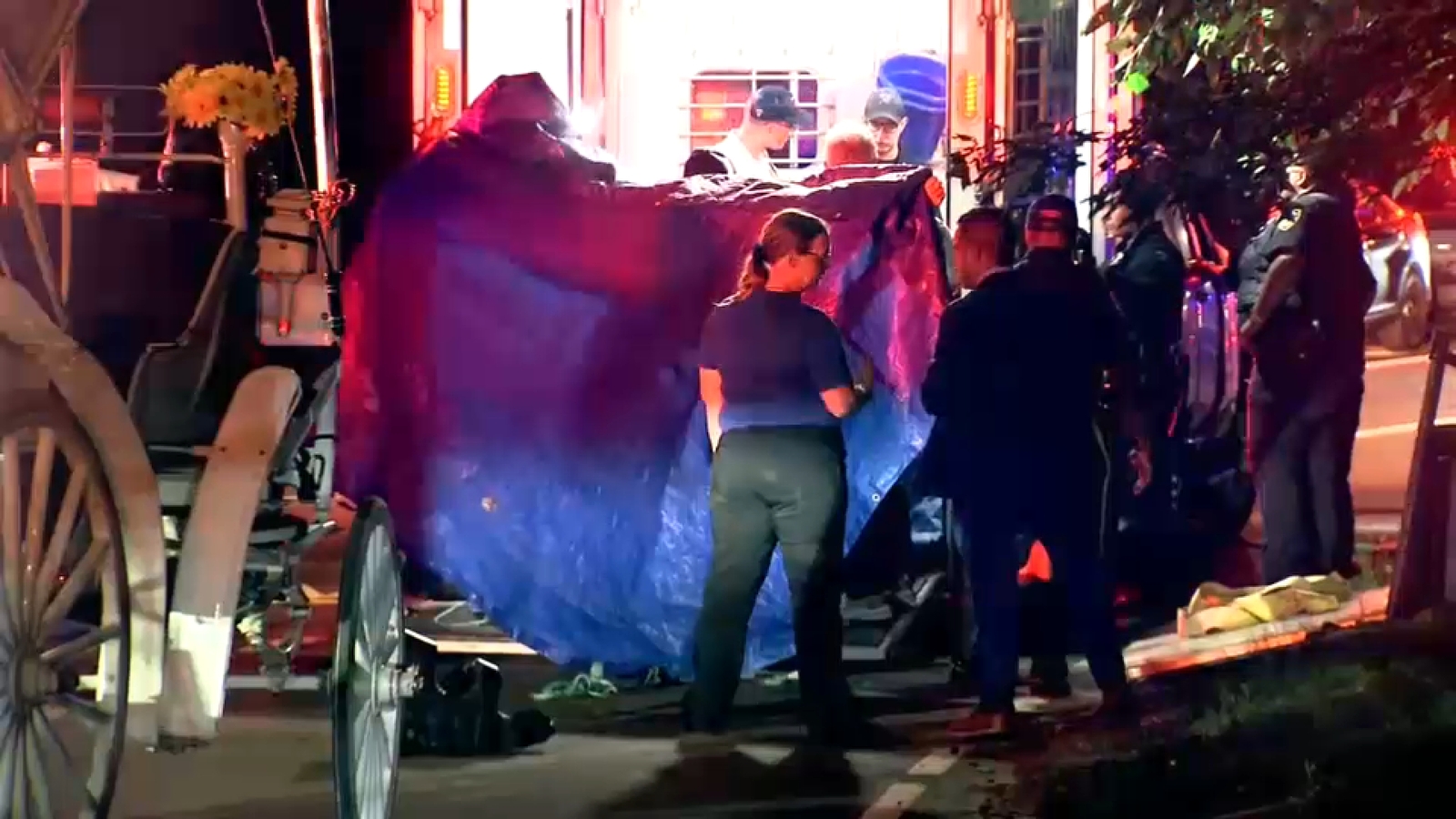 16-year-old carriage horse dies in Central Park