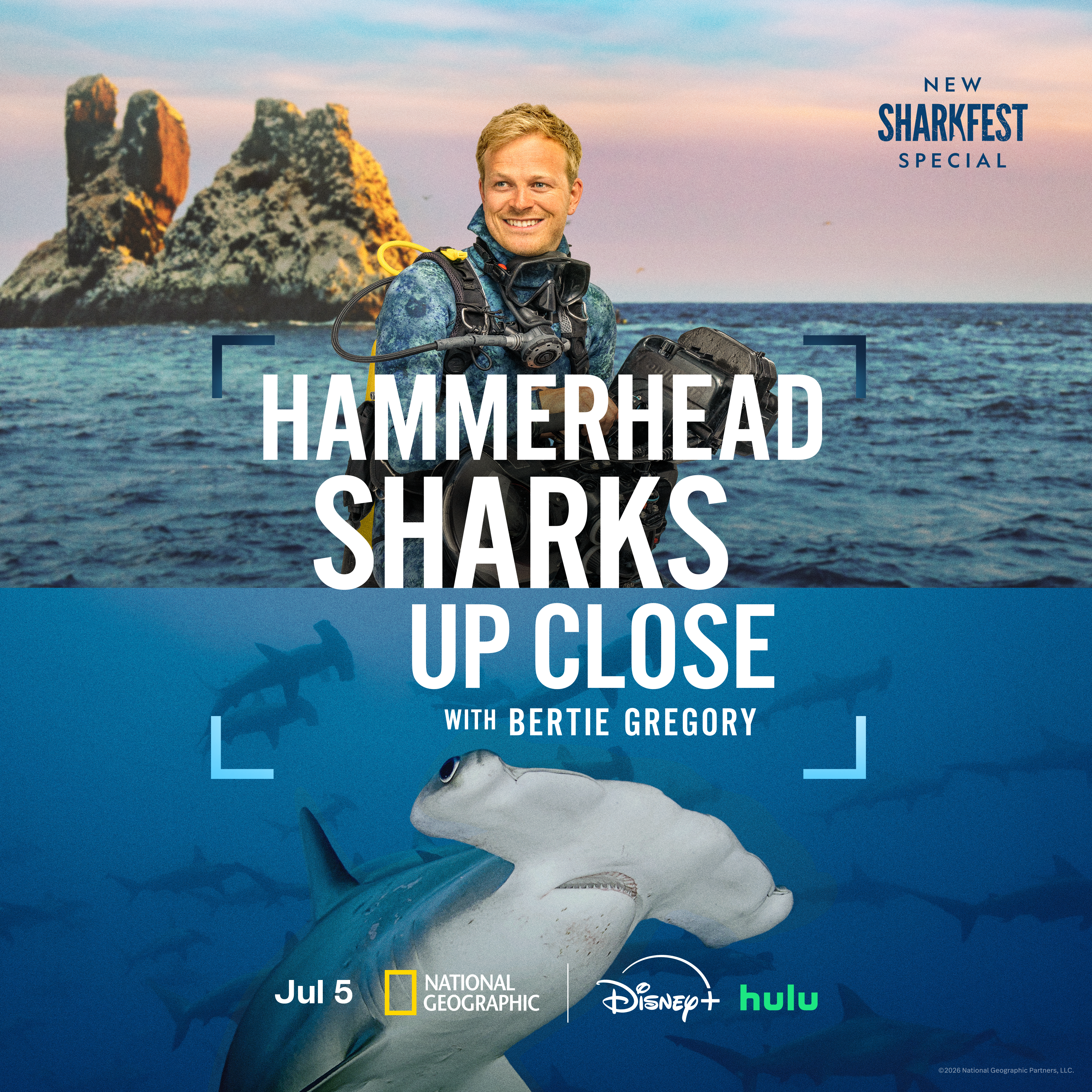Key art for "Hammerhead Sharks Up Close with Bertie Gregory"