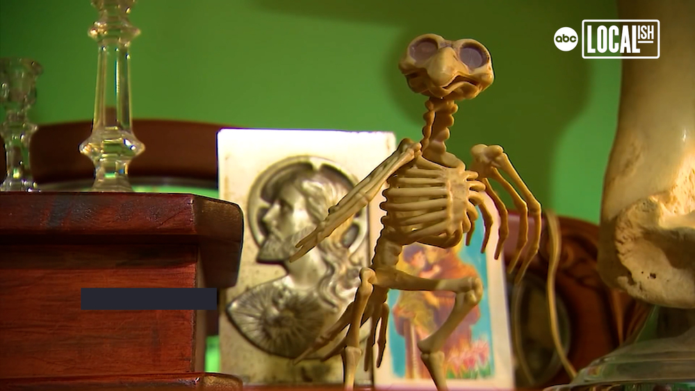 Oddporium specializes in oddities and collectibles