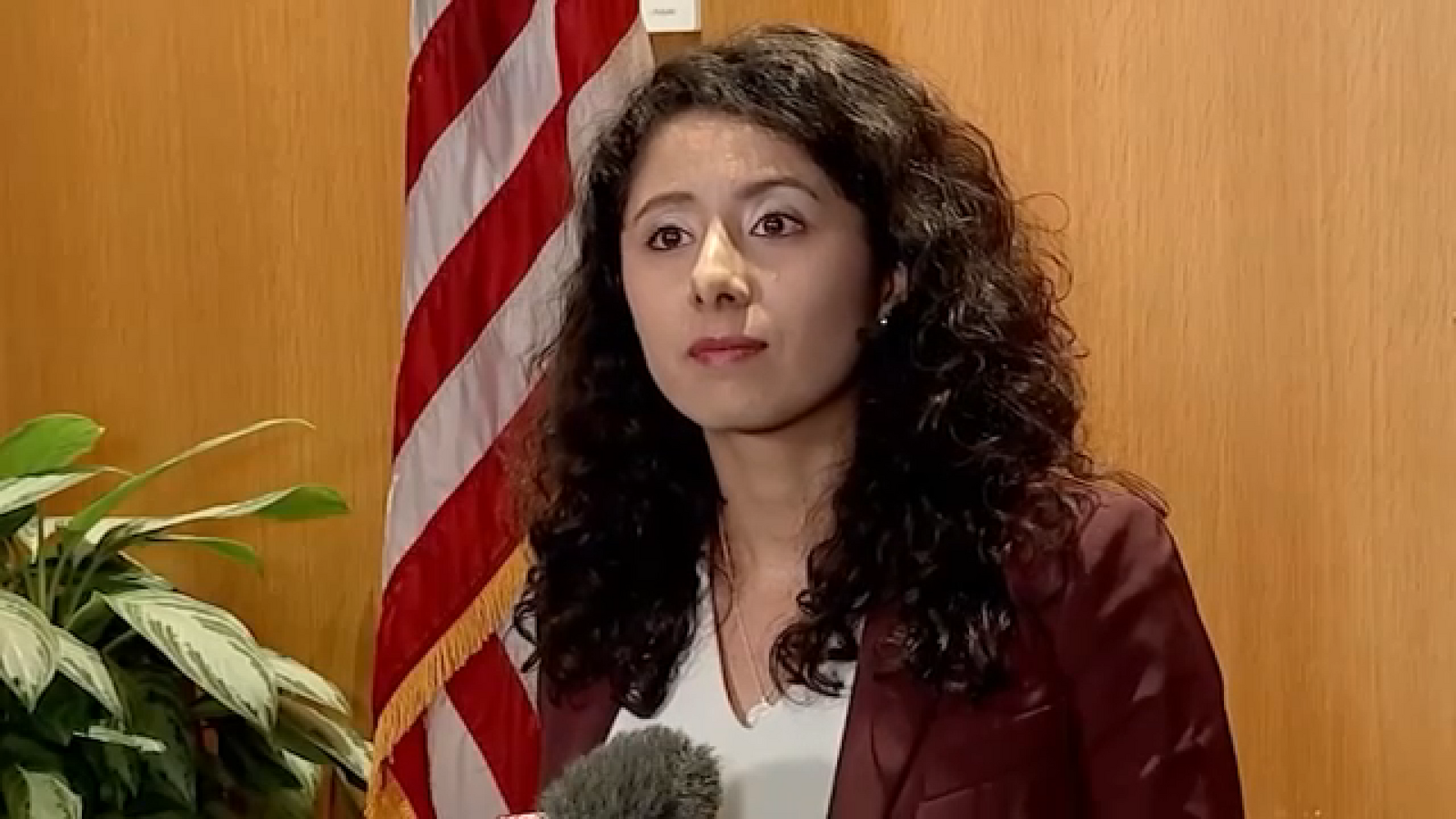 Harris County explores giving workers paid mental health days