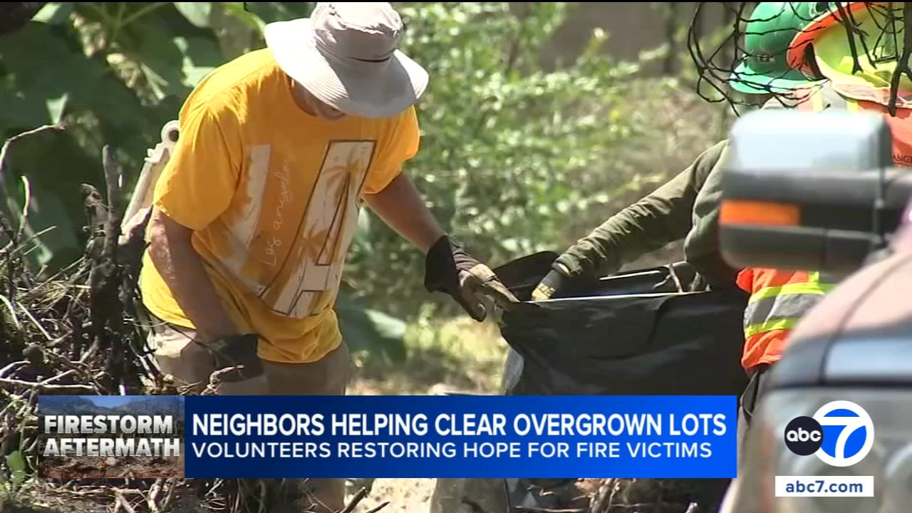 Altadena neighbors step up to clear overgrown lots: 'I want to see my community come back'