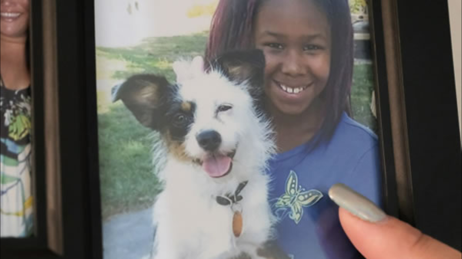 Vallejo residents wonder if missing pets were among those found in mass  grave - ABC7 San Francisco