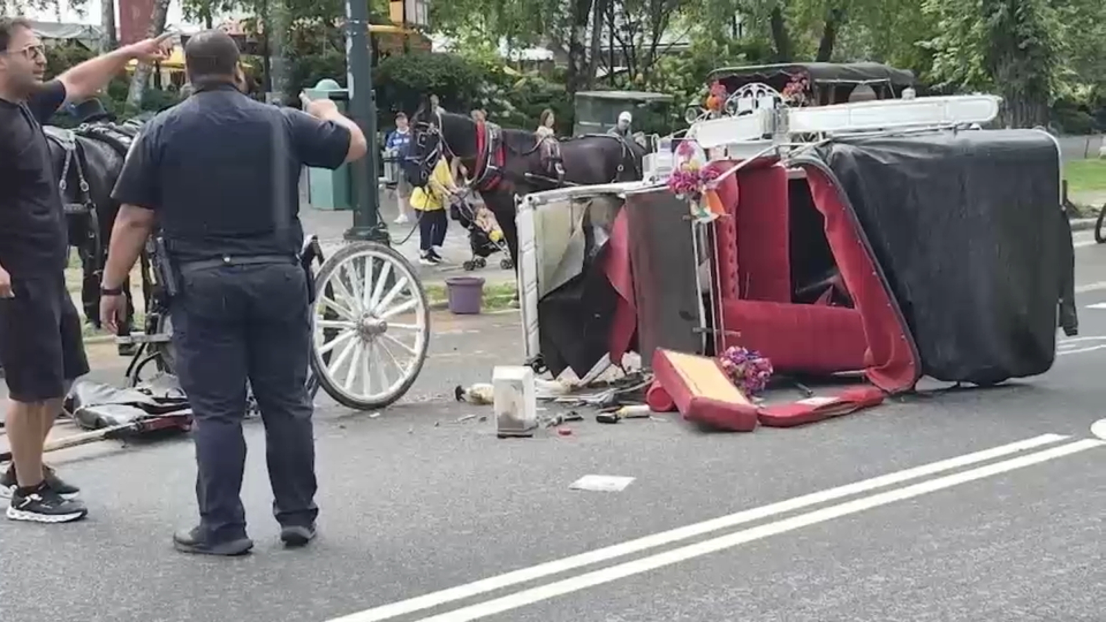 Horse-drawn carriage rides paused in Central Park after 18-year-old tourist killed
