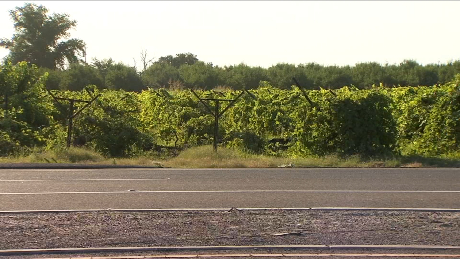 Man killed in single-car crash involving pole in Fresno County, CHP ...