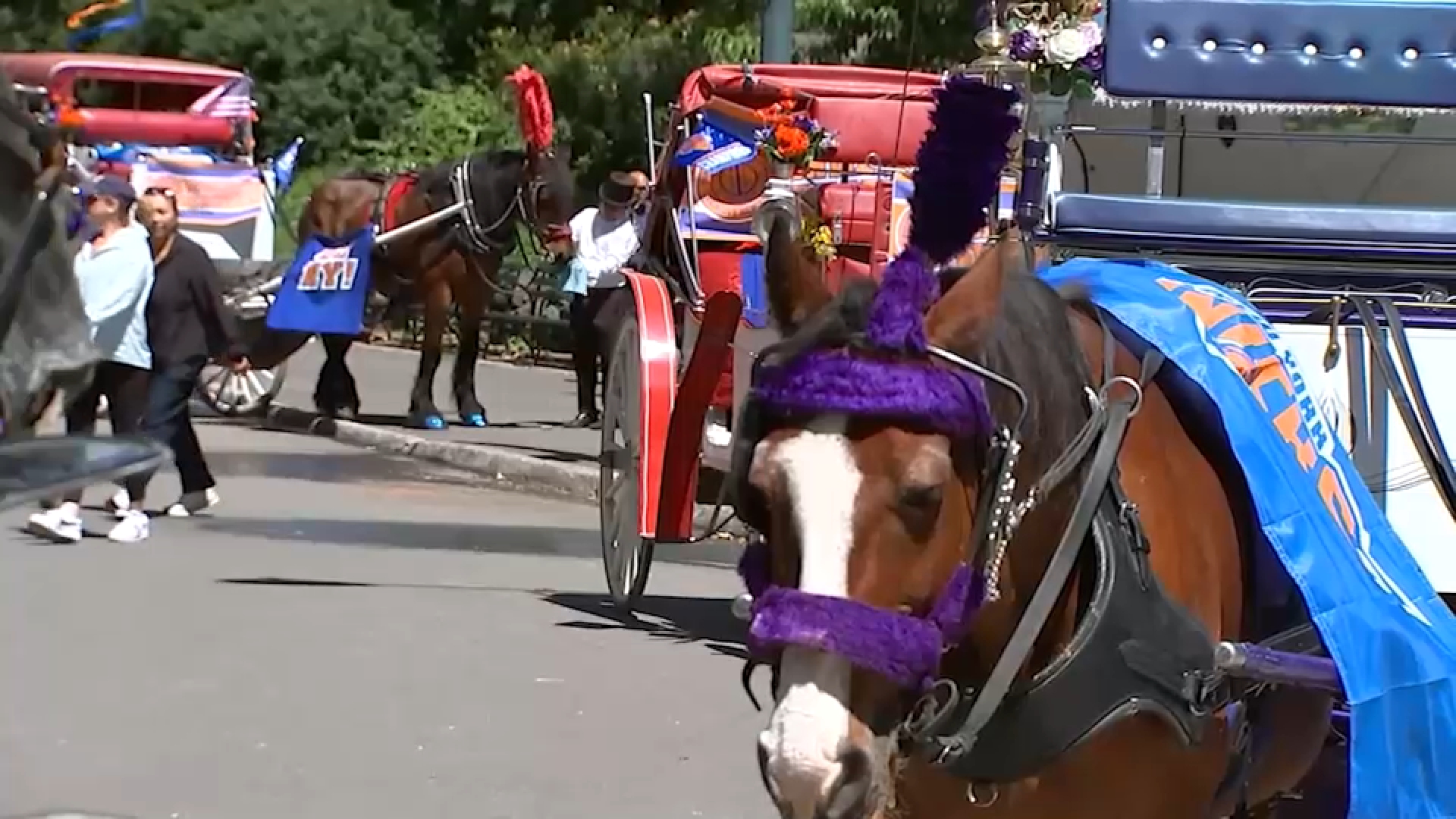 Horse carriage rides set to resume Tuesday after accident that killed tourist in Central Park