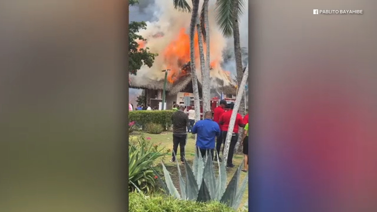 Tourist, woman from Italy, dead after massive fire breaks out at Viva Dominicus Beach resort in Dominican Republic, officials say Tourist, woman from Italy, dead after massive fire breaks out at Viva Dominicus Beach resort in Dominican Republic, officials say