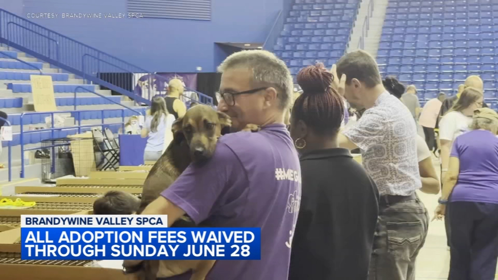 Brandywine Valley SPCA extends mega-adoption deal due to popular demand