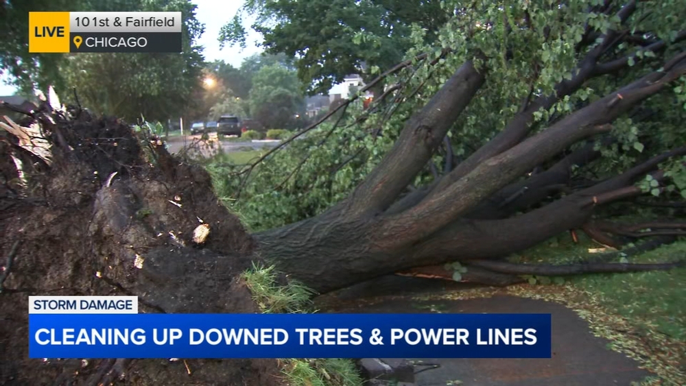 Some in Chicago wake up to more storm damage, downed power lines