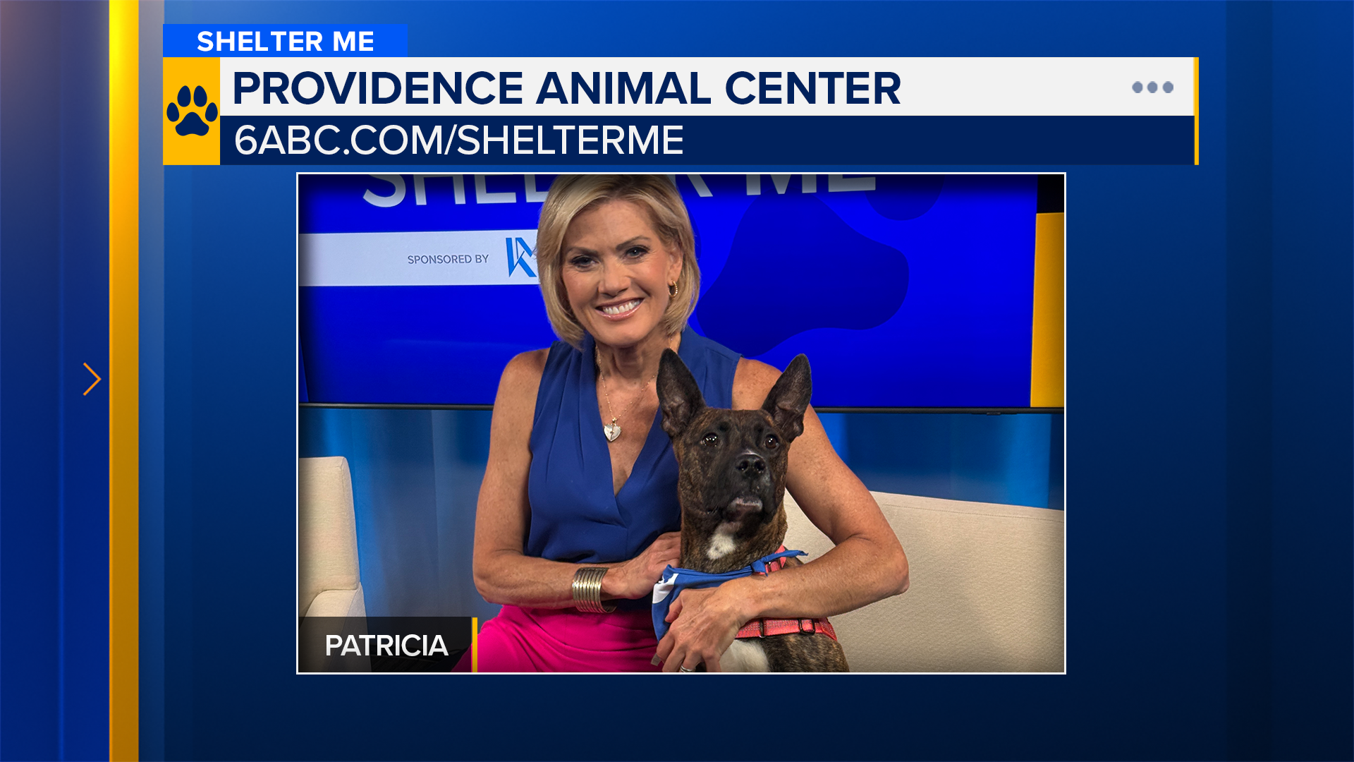 Shelter Me: Meet Patricia from Providence Animal Shelter!