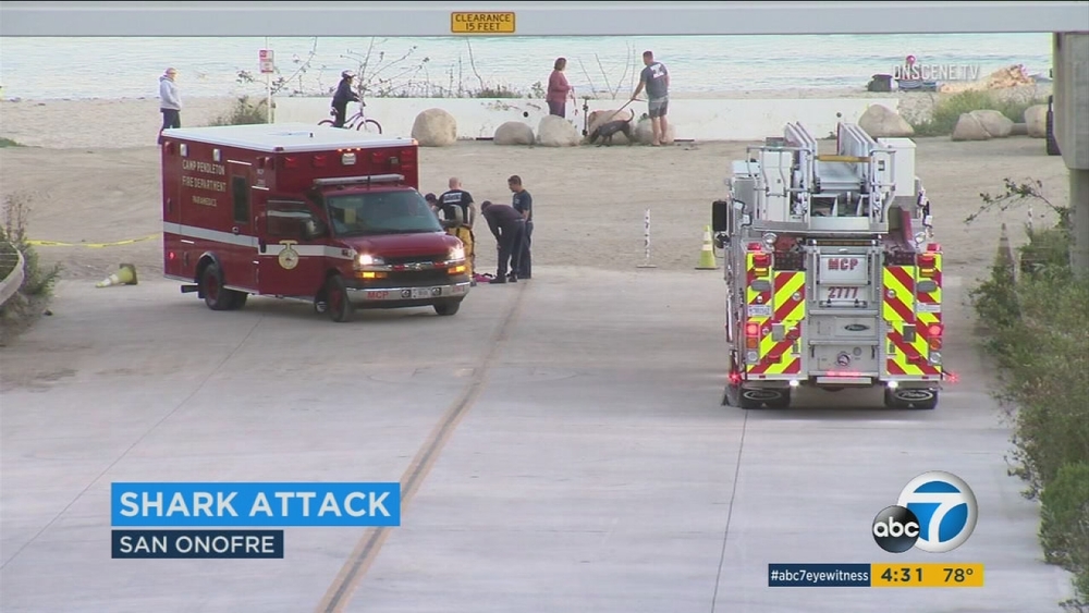 Shark attacks swimmer near San Onofre beach