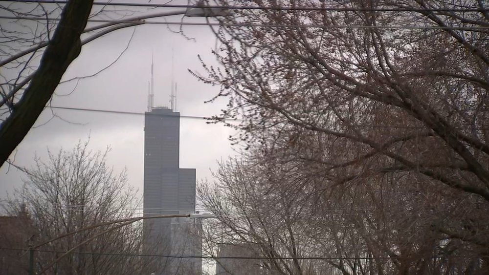 Chicago on track to complete tree-planting goal early