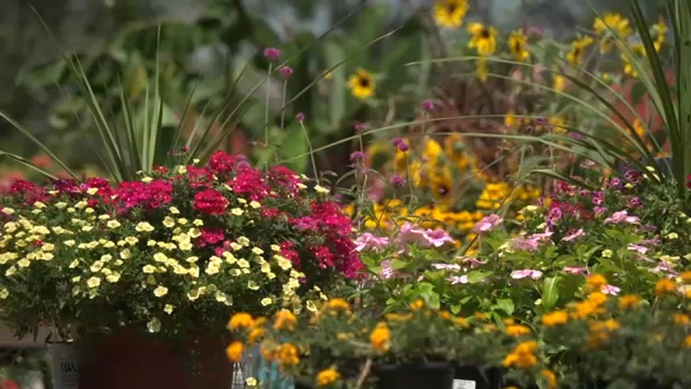 Protecting plants in heat