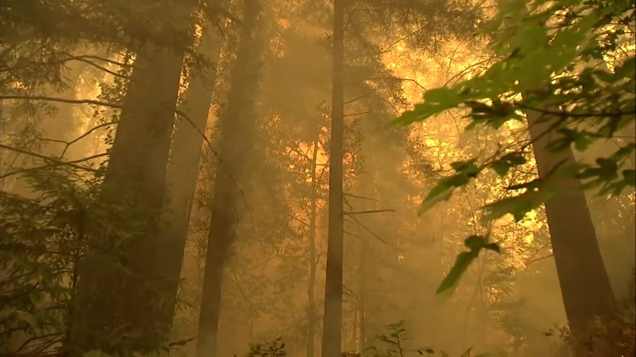 abc7news.com - Drew Tuma - California home insurance premiums spike 84% as wildfire risk grows, Stanford researchers say