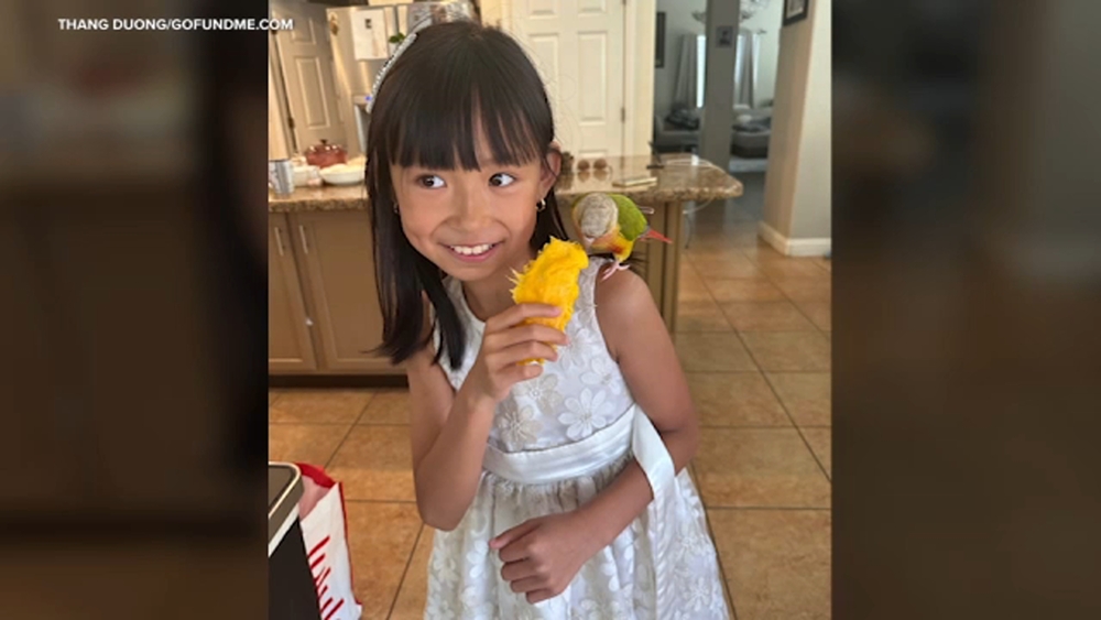 Man charged with in fireworks explosion that killed girl, 8, in OC
