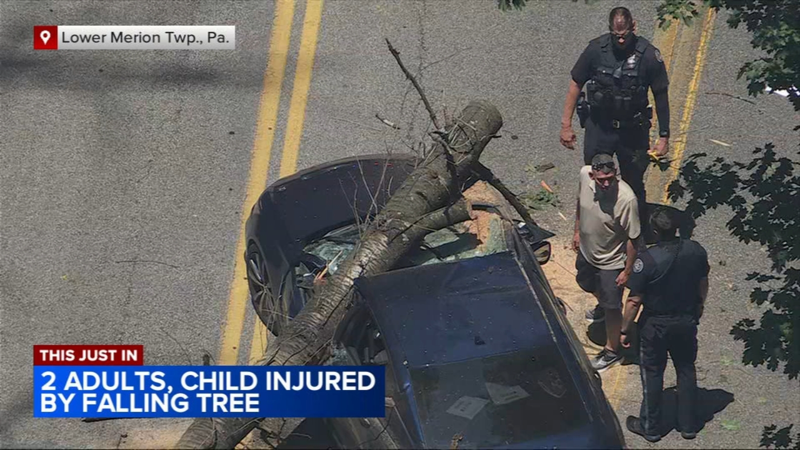 3 hurt, including child, after tree crashes onto car in Lower Merion ...
