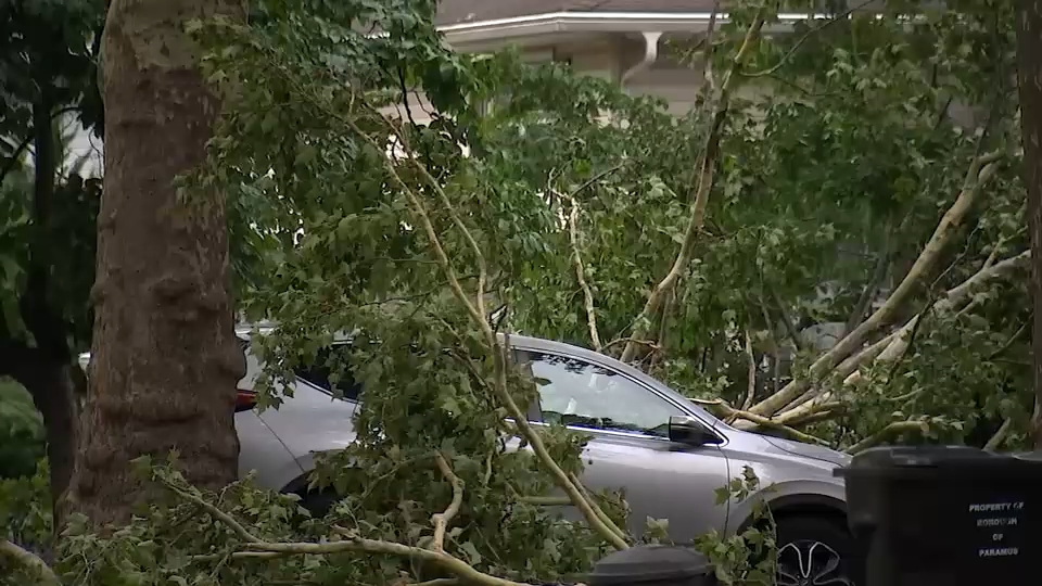 Weekend storms knock out power across New Jersey; Paramus faces midweek outage