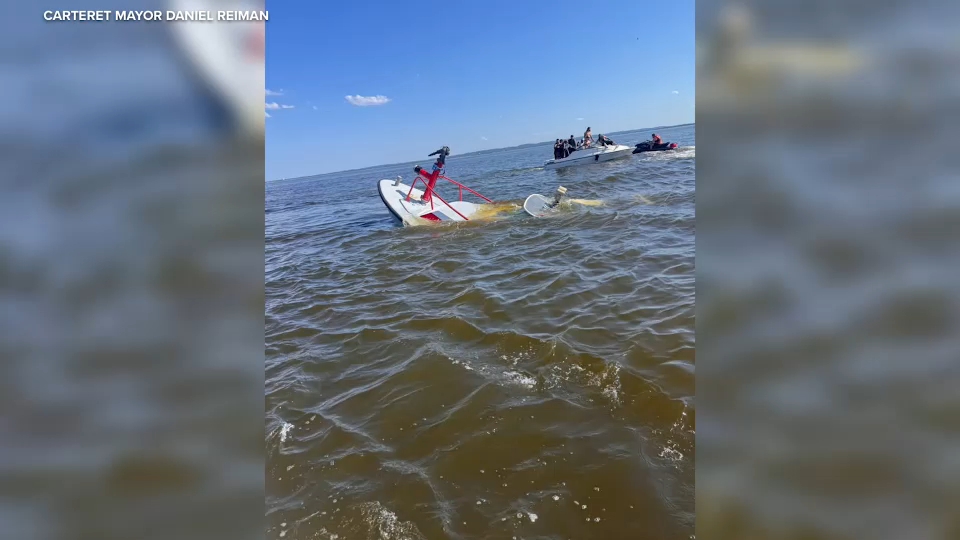 Whale causes catastrophic damage to New Jersey fire department marine unit