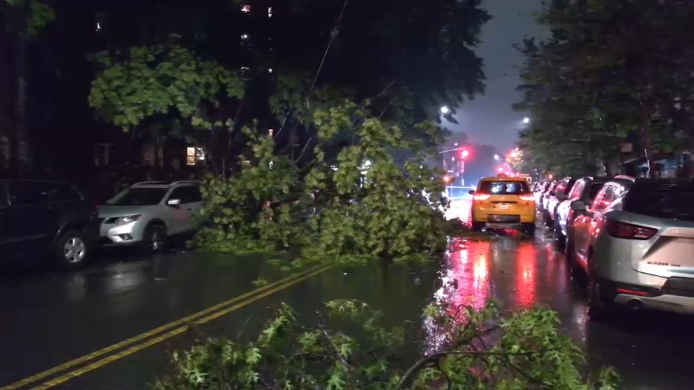 Flooding and downed trees across NYC